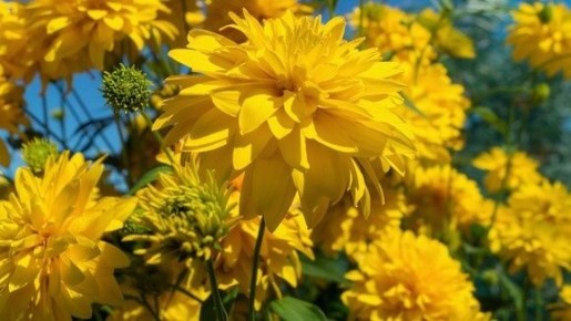 �������� ����� ��� �������: ����� �������� �������� ��� ����