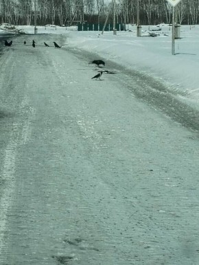 ����� ��� � ���������: ������ ���� ���� �������� �����