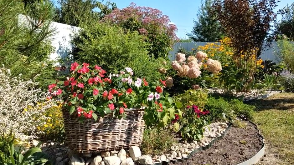 ���������� ������������: 9 ��������, ������� ��������� ����� ������ � �����