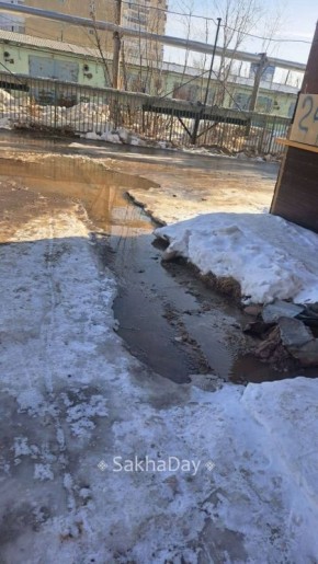 #����� ���� � ������� ���������, ������������ ��� ����