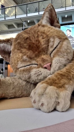 � ��������� �������� ��������� ��������