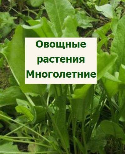 ����������� ������� ��������: ���� � ����������� ������