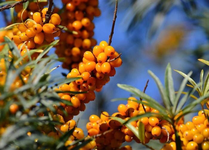 ��������: ������� ����� � �������� �������� ����