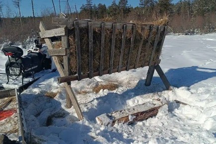 В нацпарке «Ленские столбы» открыли весенний сезон подкормки диких животных