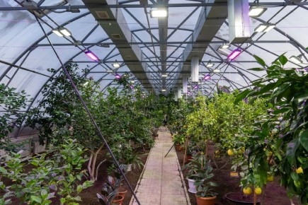 ����� �������� � ������ ������������ ������: ��������� � ����� �������