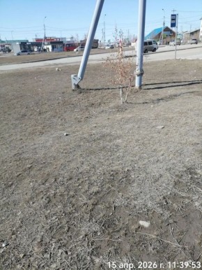 ���� �������� �� ���������� ������ ��������� ������ ����������