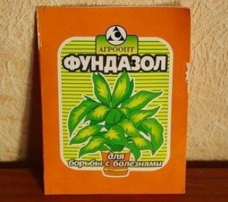 ��������: ���, ��� ����� ����� � ������ ��������� ��� ������ ��������