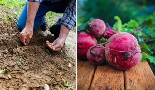 ��� �������� ������� � ������� ������: ������� �������� �������