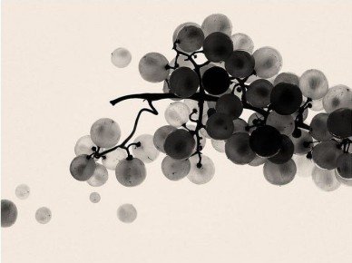 �������: ���� � �������� � ���������� ����������