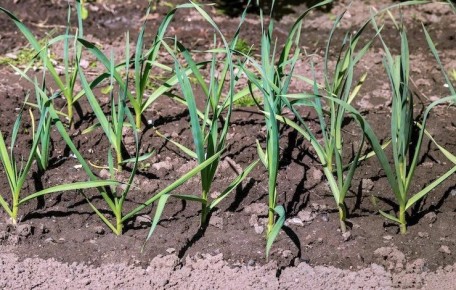 ��� ��������� ���������� ������ ������ ��� �������� ������