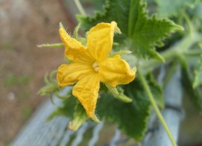 ������ ������� ������ ������� � ��� � ���� ������