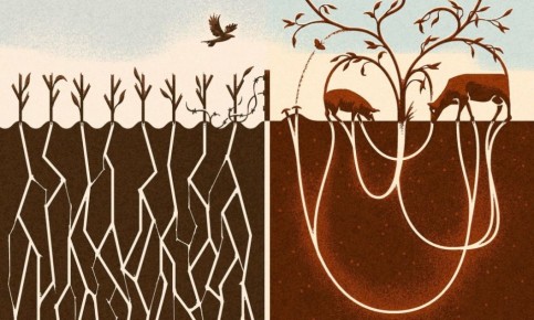 ��������� ��� �������: ���� � ����������