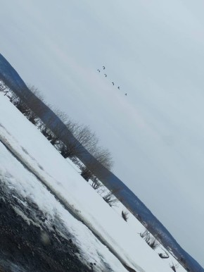 #���������������: � ��������� ������ ������� ������ �������� ���� ��������, ����������� ��� ����������