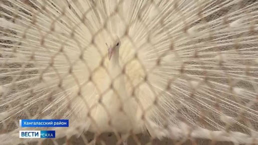 � �������� �������� ��������� � ������� ������