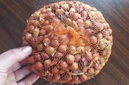 ������� ��������� ���������� ������ ����: ��� ��������� ��������� ������