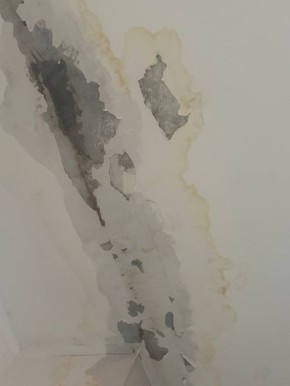 #����� �� ����������� � ������� ������ �� ����� ��������� �������� � ������ ������, ��� ����� � �������� ���������, ������������� ��� ����� ������ ����������