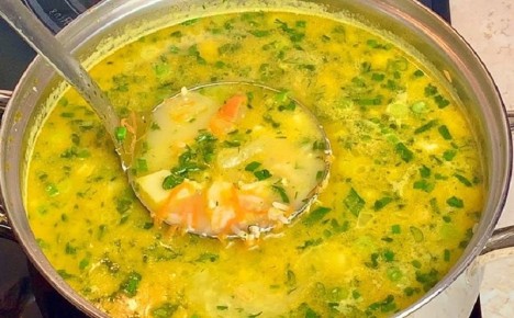 ��������� ��� � ������: ������ ������ ����� � ��������� ������������