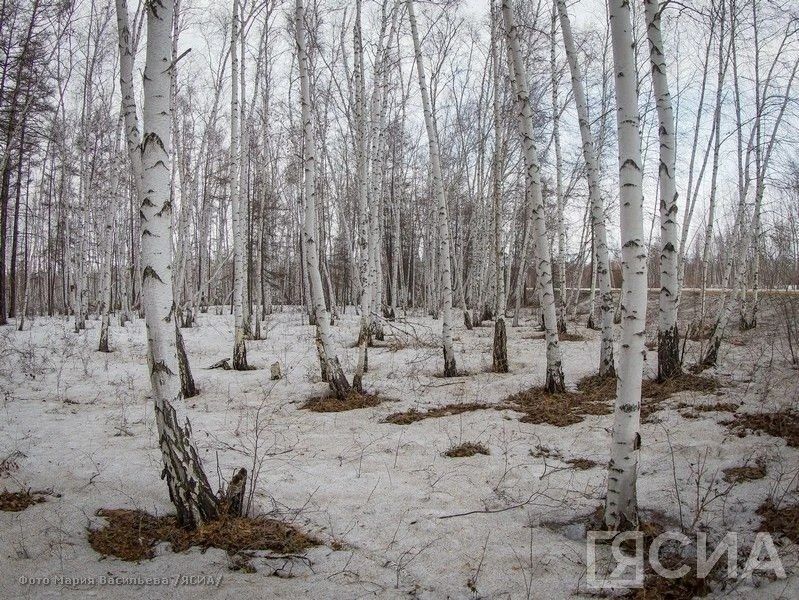 ��������� ���� 23 ������: ��� ����� � ������ ������, �������