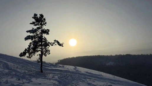 �� ������ ��������� ����� ������� ������� �� �����