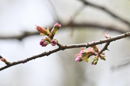 �� +10 �������� ��������� � ������ 24 ������