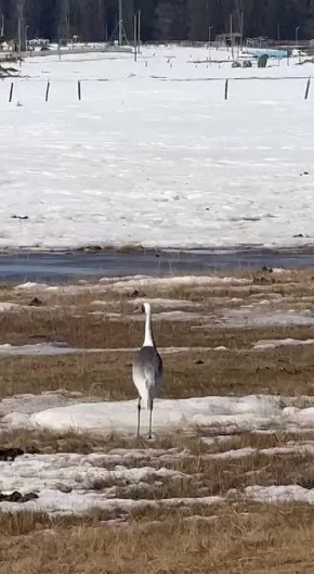 � ���������� ����� ������� ������ �������� �������