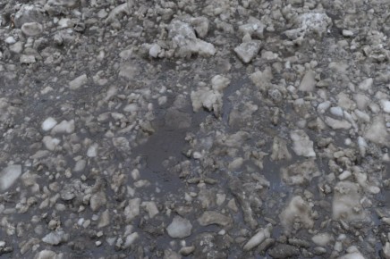 ������ ����������� � ������ �������� �� ��������