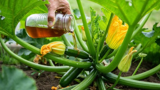 ������ ����� ������� � ��� � ���� ��������