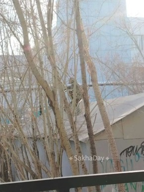 #����� ���� ����� ������ ������, �������, ���� � ������ ������ ������������ ������