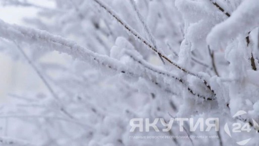 ����������� �� �������� ������������ ���� ����������� ������ �������� �������� � ������