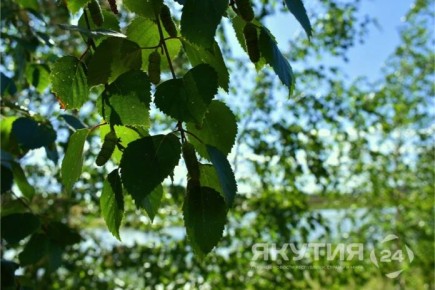 ������ ��������������� �������� � ������ ������� ����� 120 ����� �����