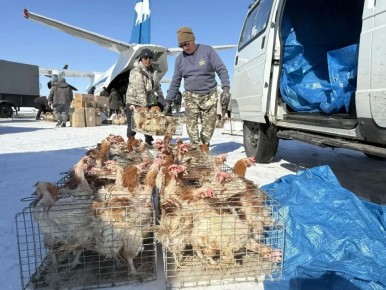 �������� � �������� ���� ��������� ����� 500 ���-�������