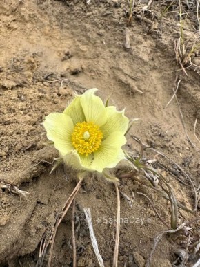 27 ������, 2026 ����. ����� ������, ������ �����������