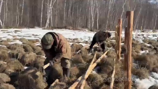 � ���� ����� ������������ ���������� � ������ ������