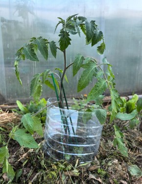 ����� ��������� ������ �������: ������ �� ����� � ������