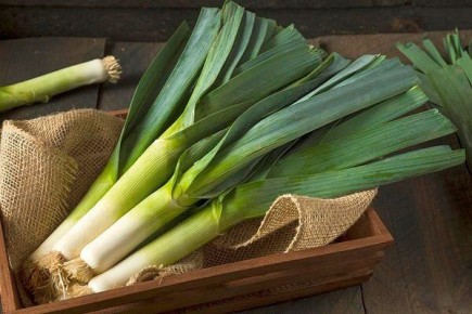 ����������� ������ �������� ����-�����