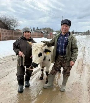 ��� �������� ��� ���� ������ �������� ����������