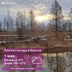 � ������� 1 ��� ��������� �� +12 ��������