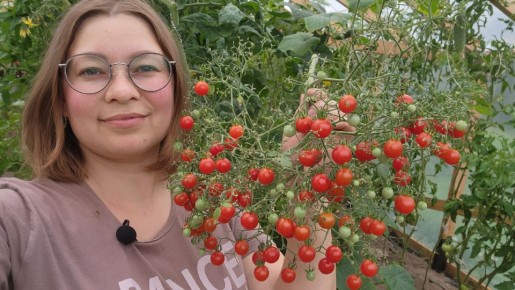 ��� ������ ��������� ��� ��������� ������