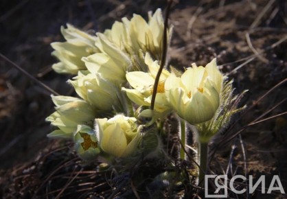 � ������ �� 1 ��� � ������ ���������� ���������