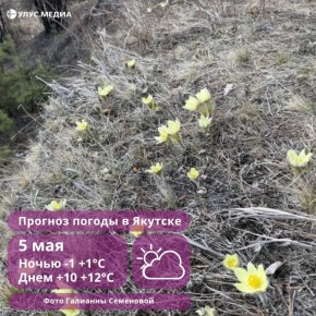 ������ ���� � ���������� �� +13�C: ������� ������ � ������ �� 5 ���