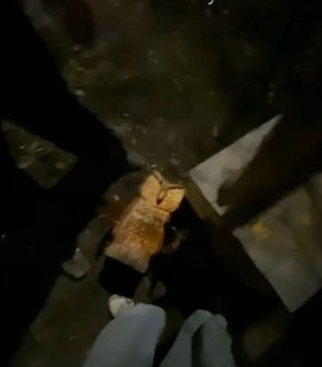 � ����� ������� ������� �������� ��������, ��������� ���� ������