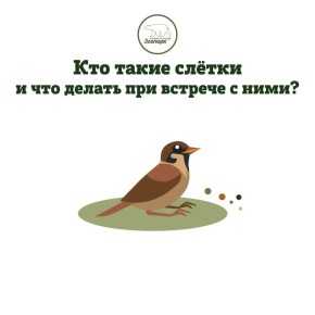 �������� ����������� ������ �� �����? �� ������� ��������