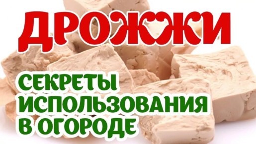 ��� ������ �������� ���������: ������� ����������� ��������� � ������ ���������