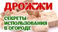 ��� ������ �������� ���������: ������� ����������� ��������� � ������ ���������