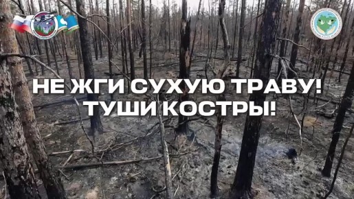 С наступлением пожароопасного сезона стоит быть бдительнее! Маленькая искра может повлечь за собой необратимые последствия…
