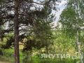 ���� �� ������� ����� ������ ����� �������� ��������� ������������ � ������ � ������� ����