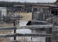 В Арылахе Якутии ведутся работы по укреплению дамбы