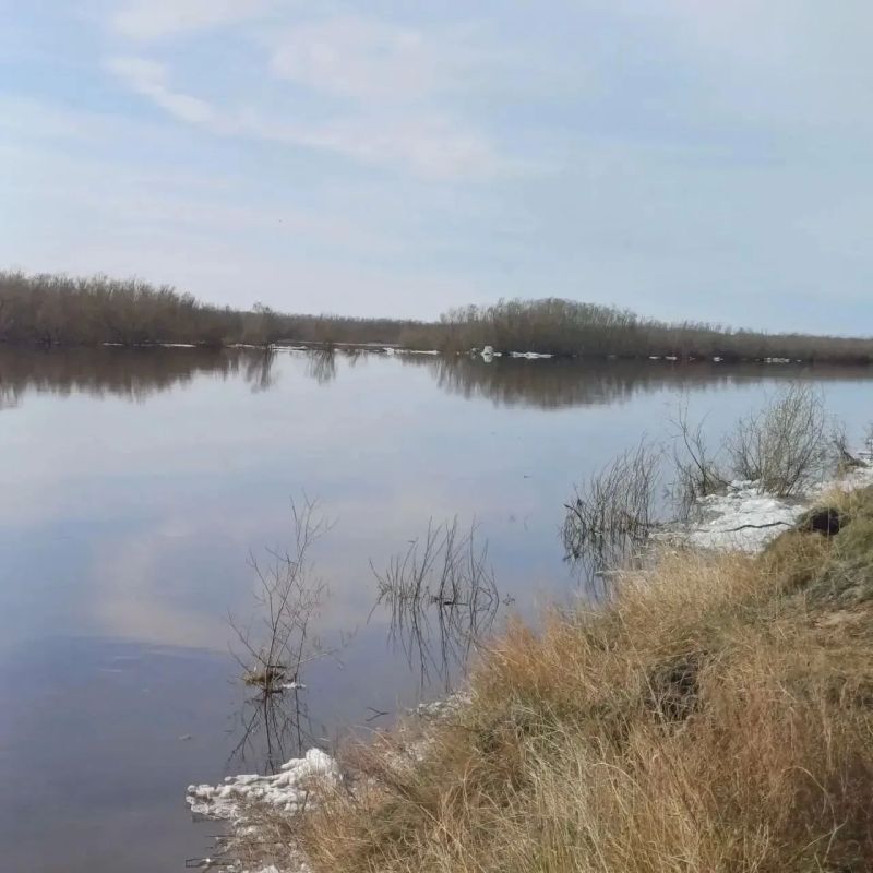 Доброе утро! Около полуночи затор на выходе Хорогорской протоки в русло реки продавило и ледоход продолжился вместе с падением уровня воды Доброе утро! Около полуночи затор на выходе Хорогорской протоки в русло реки продавило и ледоход продолжился вместе с падением уровня воды