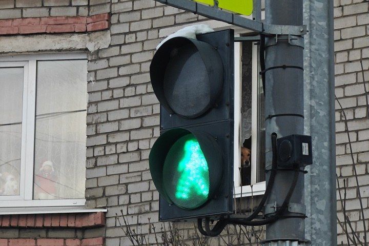 На улице Чернышевского в Якутске манипулятор снес светофорный столб