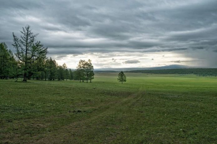 Небольшой дождь ожидается на северо-западе, севере, центре Якутии 20 мая